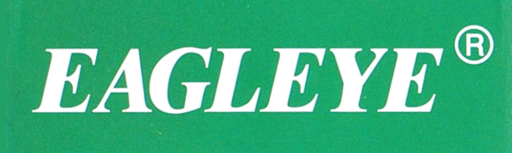 EAGLEYE